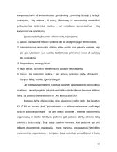 Turtinio pobūdžio bausmės 10 puslapis