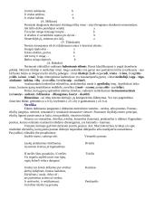 Eilėdara grožinėje literatūroje 4 puslapis