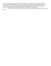 Eilėdara grožinėje literatūroje 8 puslapis