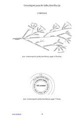 Genealoginė kalbų klasifikacija 17 puslapis