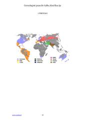 Genealoginė kalbų klasifikacija 18 puslapis