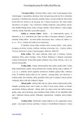 Genealoginė kalbų klasifikacija 8 puslapis