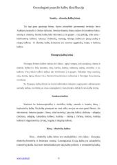 Genealoginė kalbų klasifikacija 10 puslapis