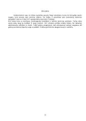 Tarptautinis terorizmas ir terorizmo problema 8 puslapis