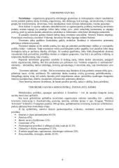 Tarptautinis terorizmas ir terorizmo problema 4 puslapis