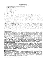 Tarptautinis terorizmas ir terorizmo problema 5 puslapis