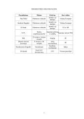 Tarptautinis terorizmas ir terorizmo problema 7 puslapis