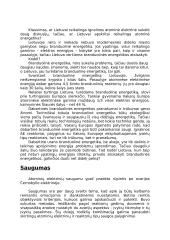 Lietuva su atomine energetika 3 puslapis