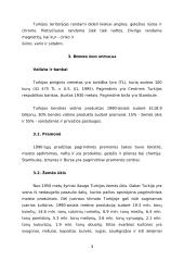 Turkijos respublika 3 puslapis