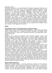 Žemynai ir pasaulio dalys 2 puslapis