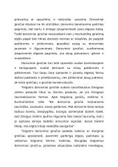 Įpročiai 2 puslapis