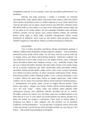 Lyčių skirtumai 4 puslapis