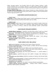 Mirtis ir požiūris į mirtį 3 puslapis