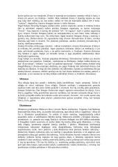 Požiūris į asmenybę rytų teorijose 3 puslapis