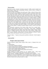 Požiūris į asmenybę rytų teorijose 8 puslapis