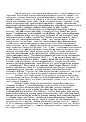 Lietuvių kalbos tyrinėjimo istorija 11 puslapis