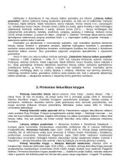Lietuvių kalbos tyrinėjimo istorija 5 puslapis