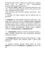 Prieveiksmis 3 puslapis