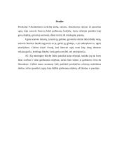 Ugnis baltų mitologijoje 7 puslapis