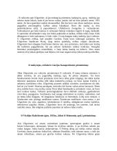 Užgavėnės, jų šventimas 15 puslapis