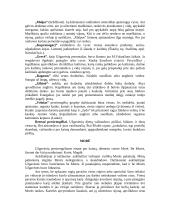 Užgavėnės, jų šventimas 6 puslapis