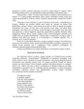 Užgavėnės, jų šventimas 7 puslapis