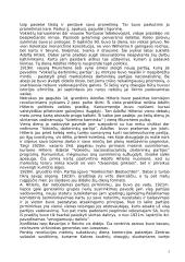 A. Hitlerio biografija 3 puslapis