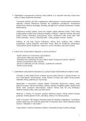 Arabai ir islamas. Arabų kalifatas 2 puslapis