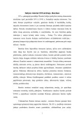 Italijos miestai XVII amžiuje. Barokas 2 puslapis