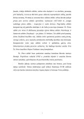 Italijos miestai XVII amžiuje. Barokas 7 puslapis