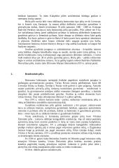 Lietuvos pilys, jų architektūra 11 puslapis