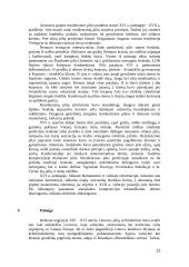 Lietuvos pilys, jų architektūra 12 puslapis