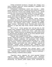 Senovės Roma kultūros istorija 14 puslapis