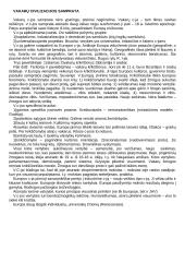 Vakarų civilizacija