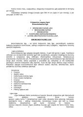 Kvėpavimo takų ligos 5 puslapis