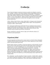 Evoliucija (etapai)