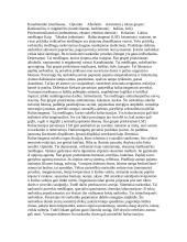 Narkomanija jaunimo tarpe 2 puslapis