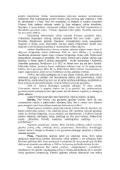 Gabrielė Petkevičaitė-Bitė (1861 – 1943) 3 puslapis