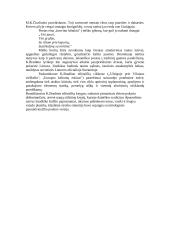 Kazys Bradūnas (1917-2009) 2 puslapis