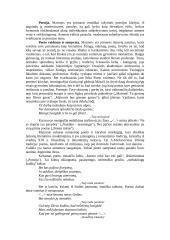 Maironis (išsamiai) 2 puslapis