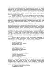 Maironis (išsamiai) 13 puslapis
