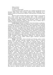 Maironis (išsamiai) 15 puslapis