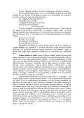 Maironis (išsamiai) 6 puslapis
