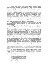 Maironis (išsamiai) 10 puslapis