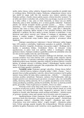 Simonas Daukantas (išsamus) 14 puslapis