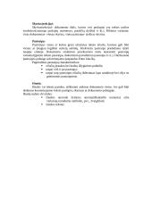 Pagrindiniai teksto elementai 2 puslapis