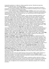 Techninė kompiuterio įranga (procesorius, atmintinė, klaviatūra, pelė, vaizduoklis, spausdintuvas) 2 puslapis