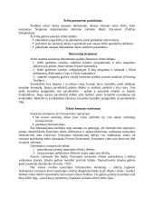 Teksto maketavimo pradmenys 2 puslapis