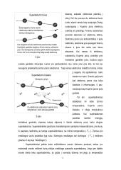 Superlaidumas: tyrimai, idėjos, taikymo perspektyvos 12 puslapis