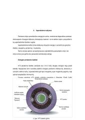 Superlaidumas: tyrimai, idėjos, taikymo perspektyvos 15 puslapis